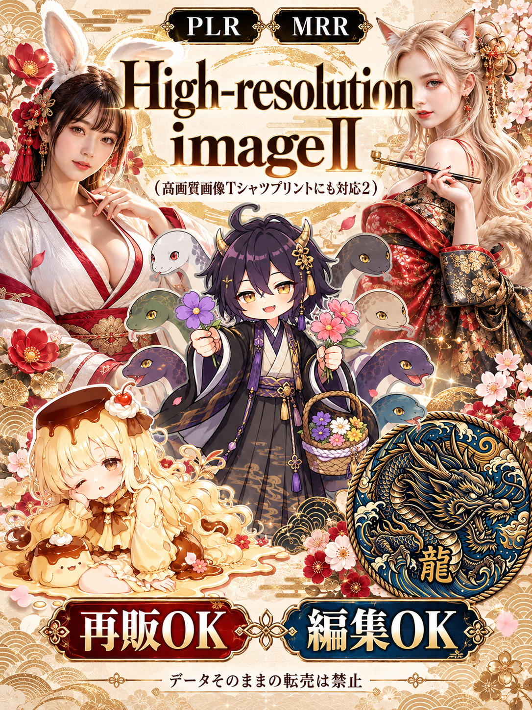 High-resolution imageⅡ（高画質画像Tシャツプリントにも対応2）