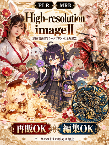 High-resolution imageⅡ（高画質画像Tシャツプリントにも対応2）